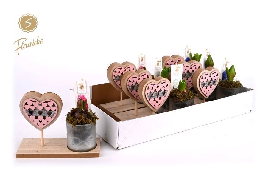 (9701) Hyacint Pink Valentijn 1PP, D 19