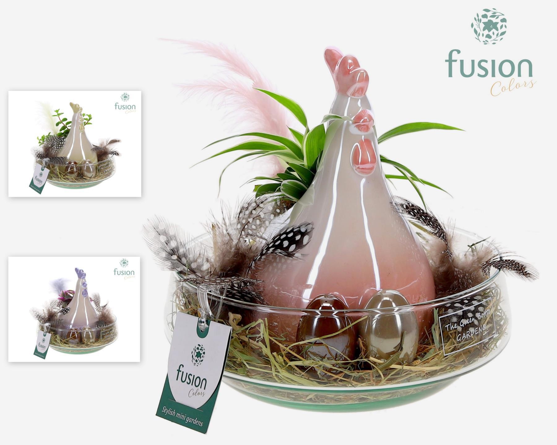 Green Bottle Iris Medium Pasen met arrangement, D 19