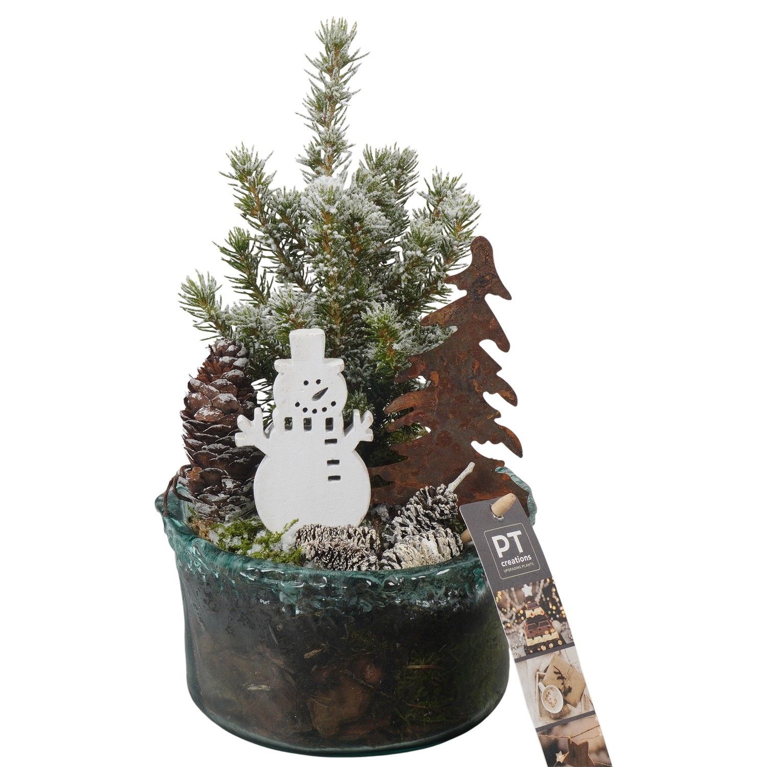 PTCWW6829 Arrangement Winter in glas schaal, D 14 cm