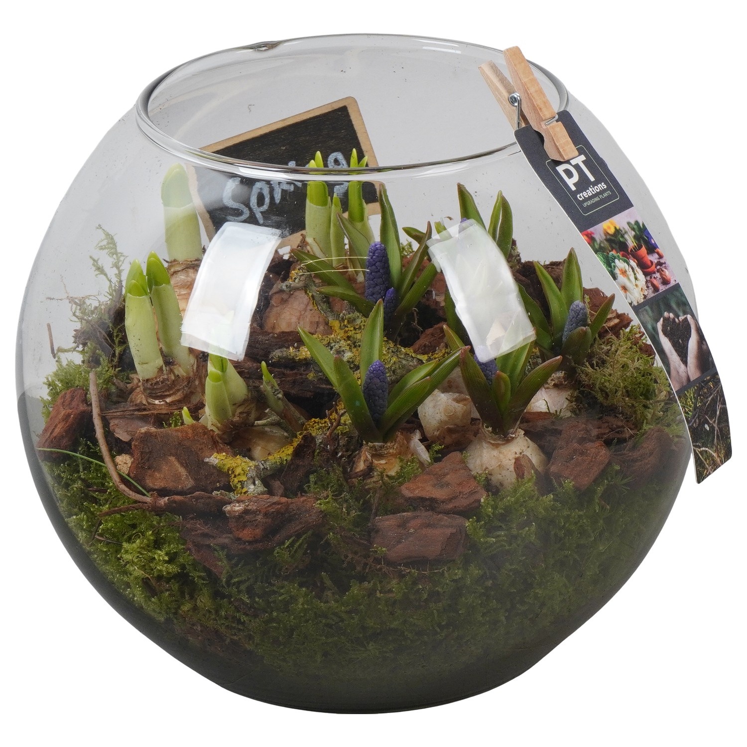 PTBM3956 Arrangement Flower Bulbs Mix in glazen bol, D 20