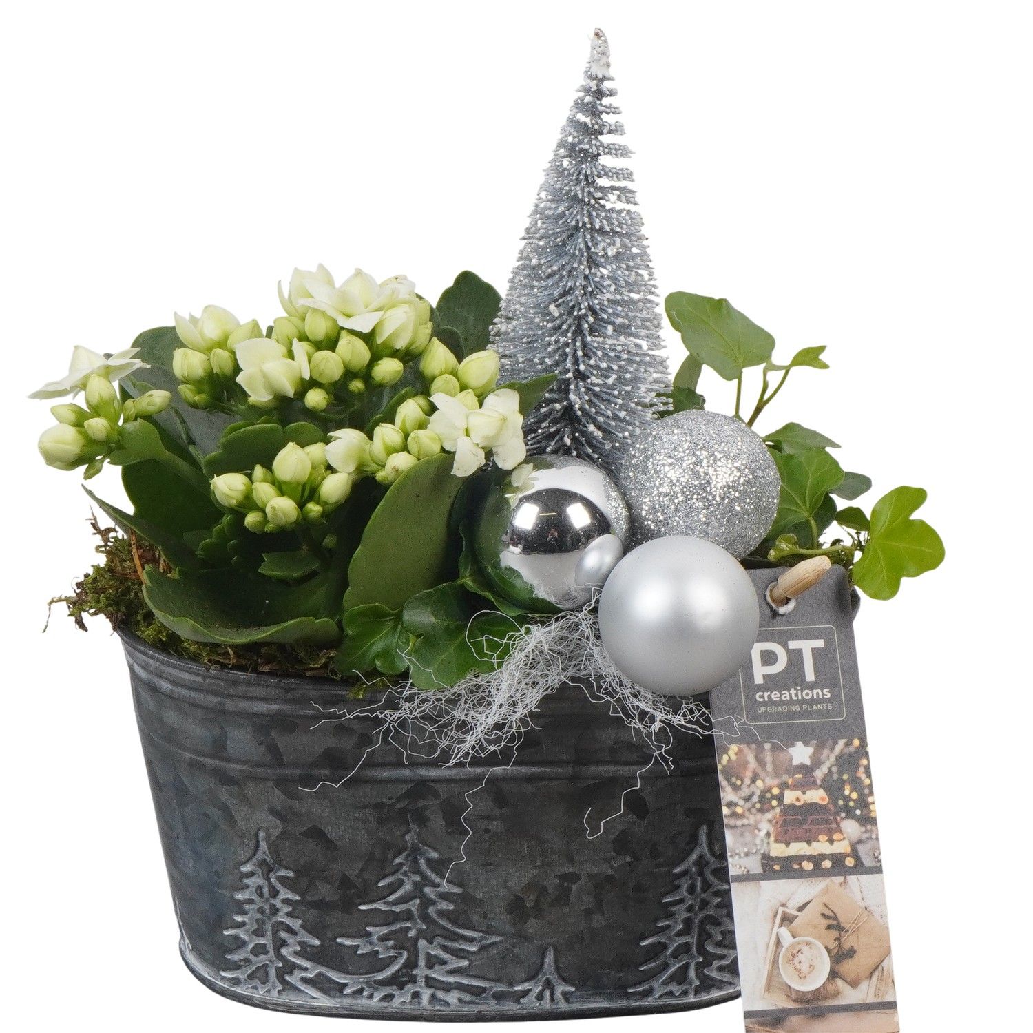 PTCHW4319 Arrangement Christmas White in metalen pot ovaal, D 15 cm