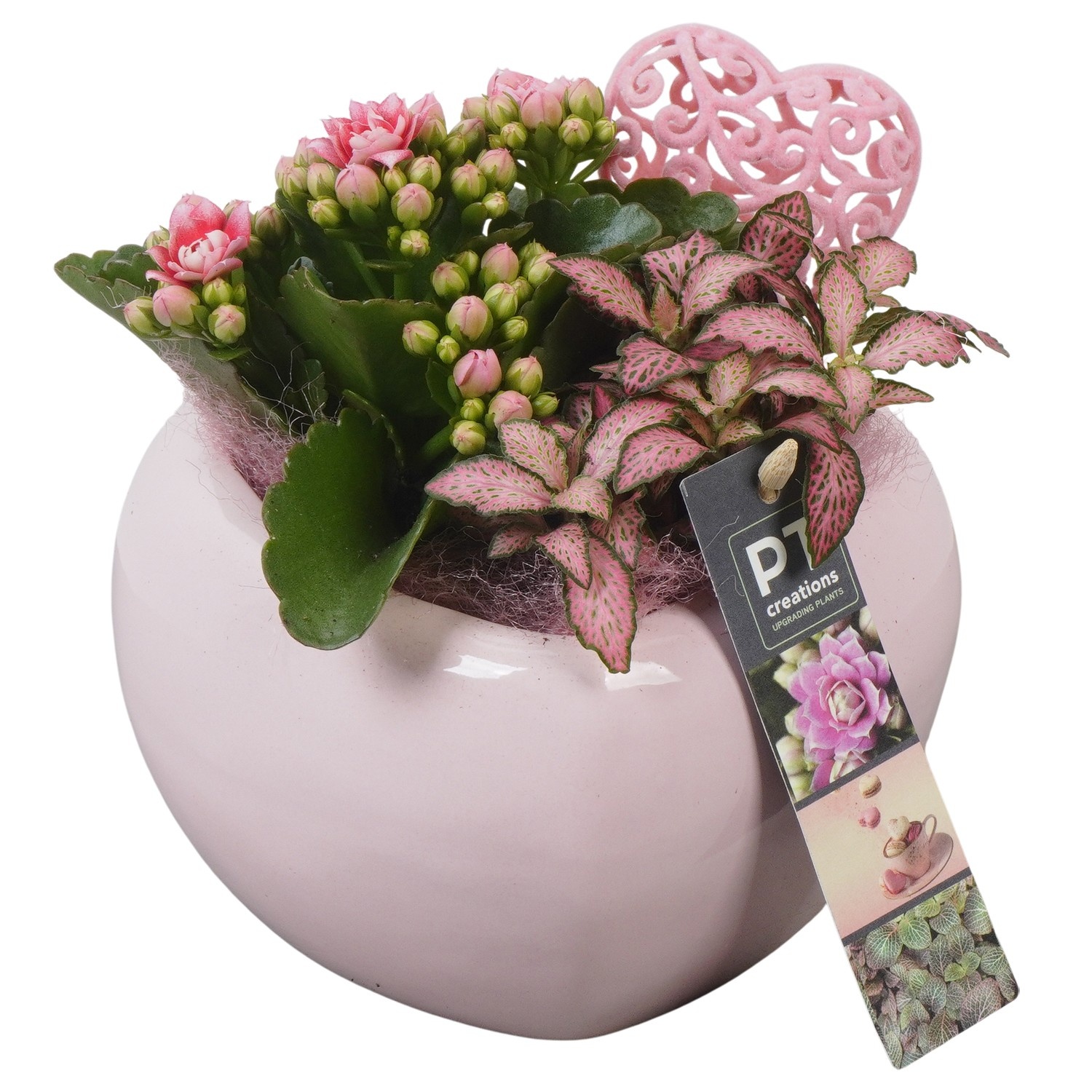 PTVMB2315 Arrangement Valentines-Mothersday in keramiek hart, D 15