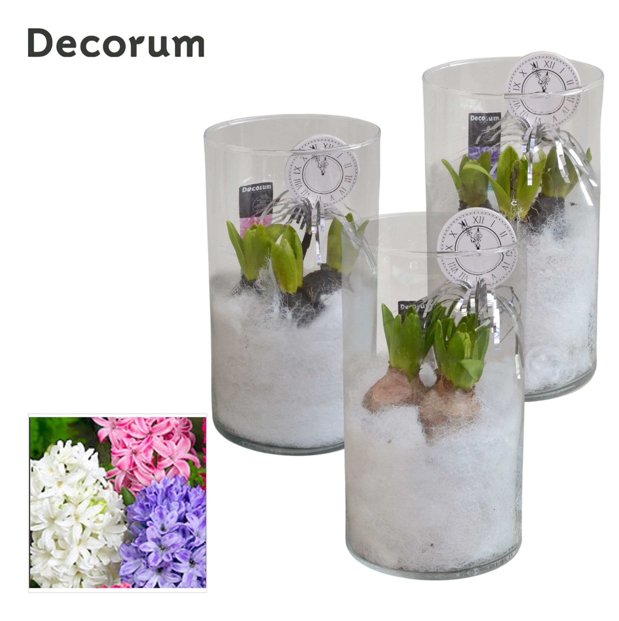 Hyacint Like Nobody HL16152NY [NEW YEAR], D 14