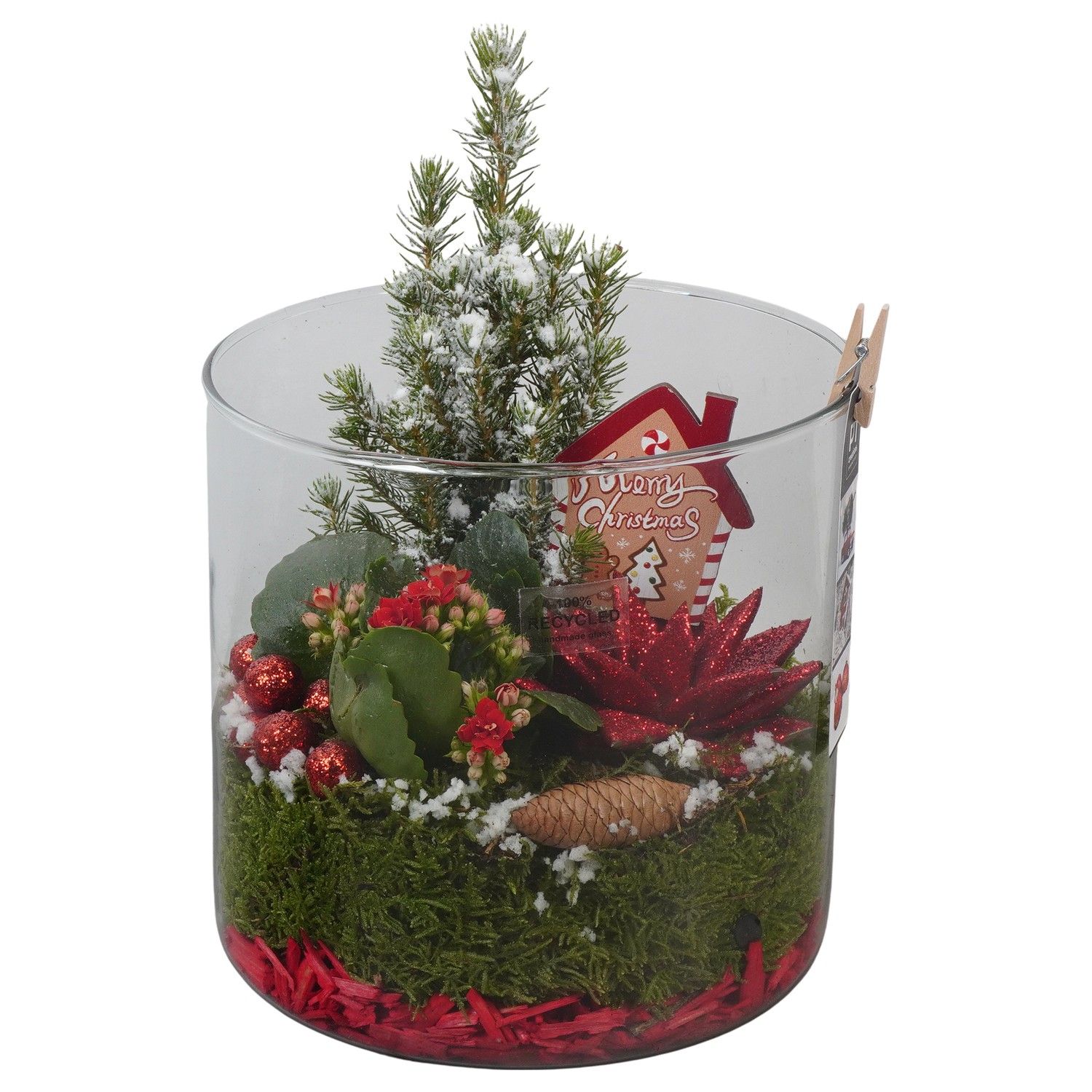 PTCHR7471 Arrangement Christmas Red in glazen pot, D 19 cm