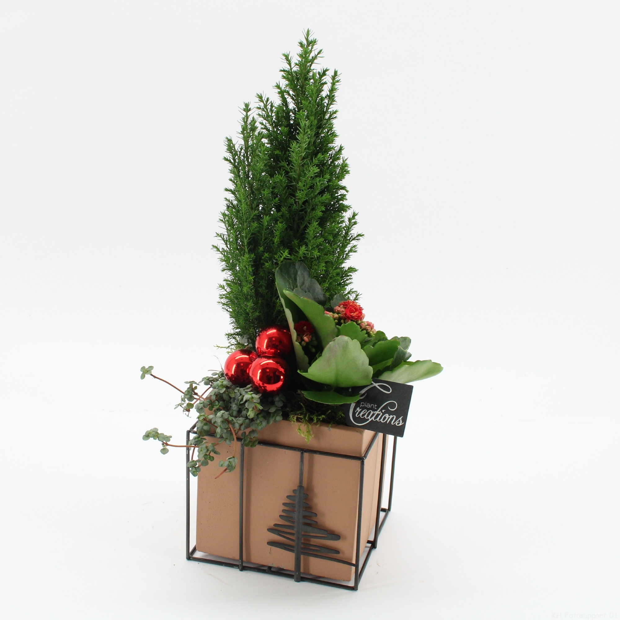 XMAS-25039 Kerst creatie, D 14 cm XMAS-25039 Kerst creatie, D 14 cm