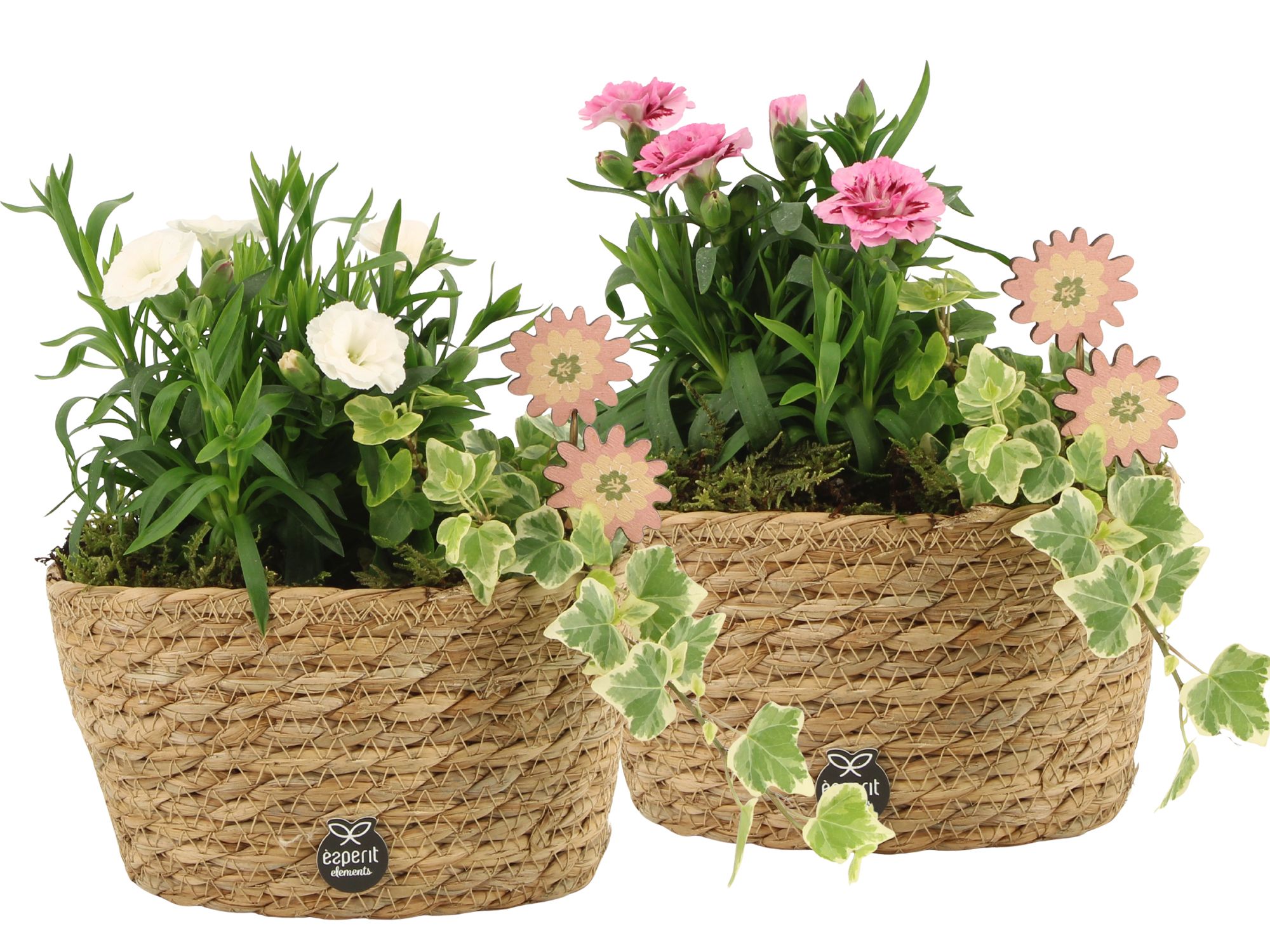 11663: Outdoor spring arrangement, D 17 cm
