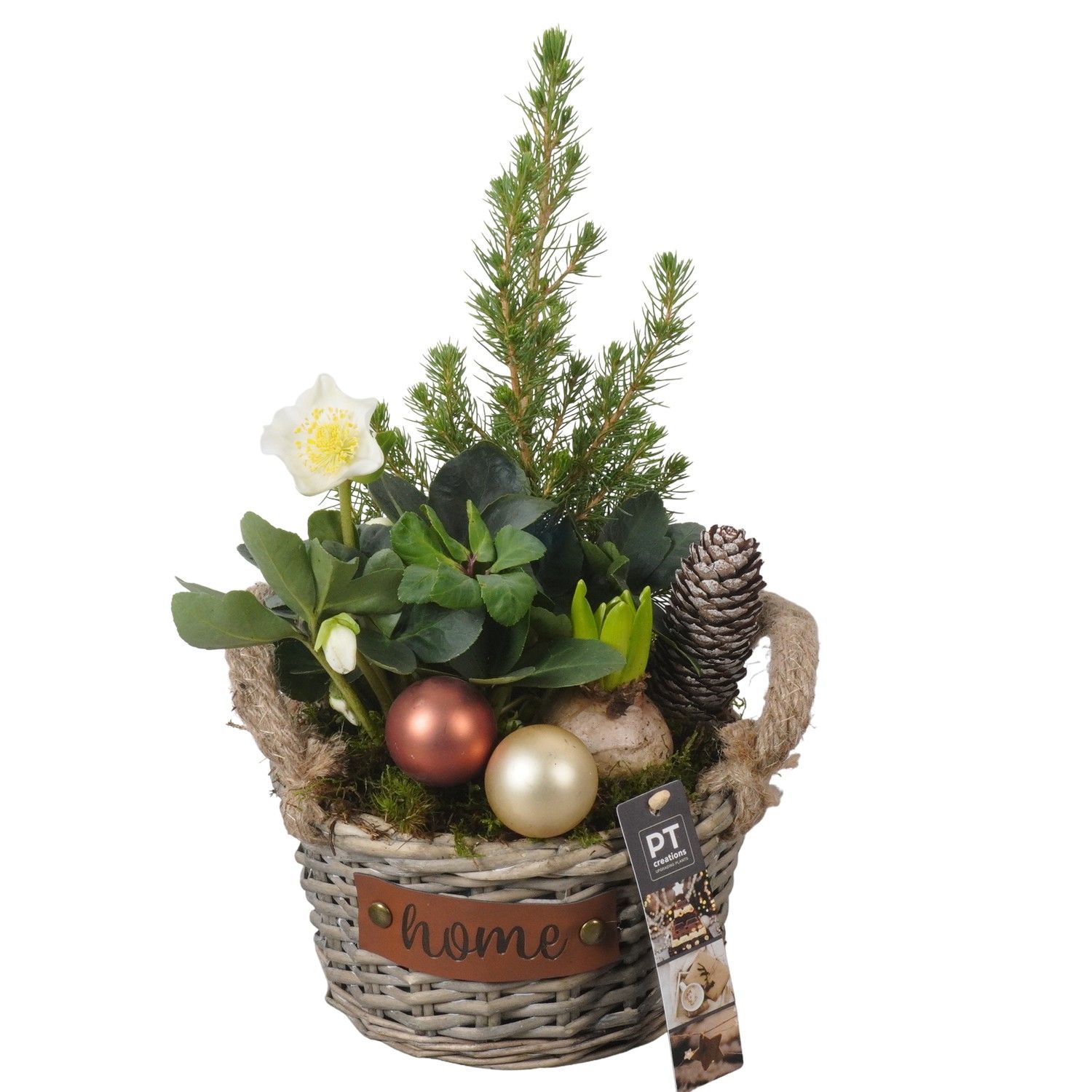 PTWO1923 Arrangement Winter Outdoor in rieten mand, D 19 cm PTWO1923 Arrangement Winter Outdoor in rieten mand, D 19 cm