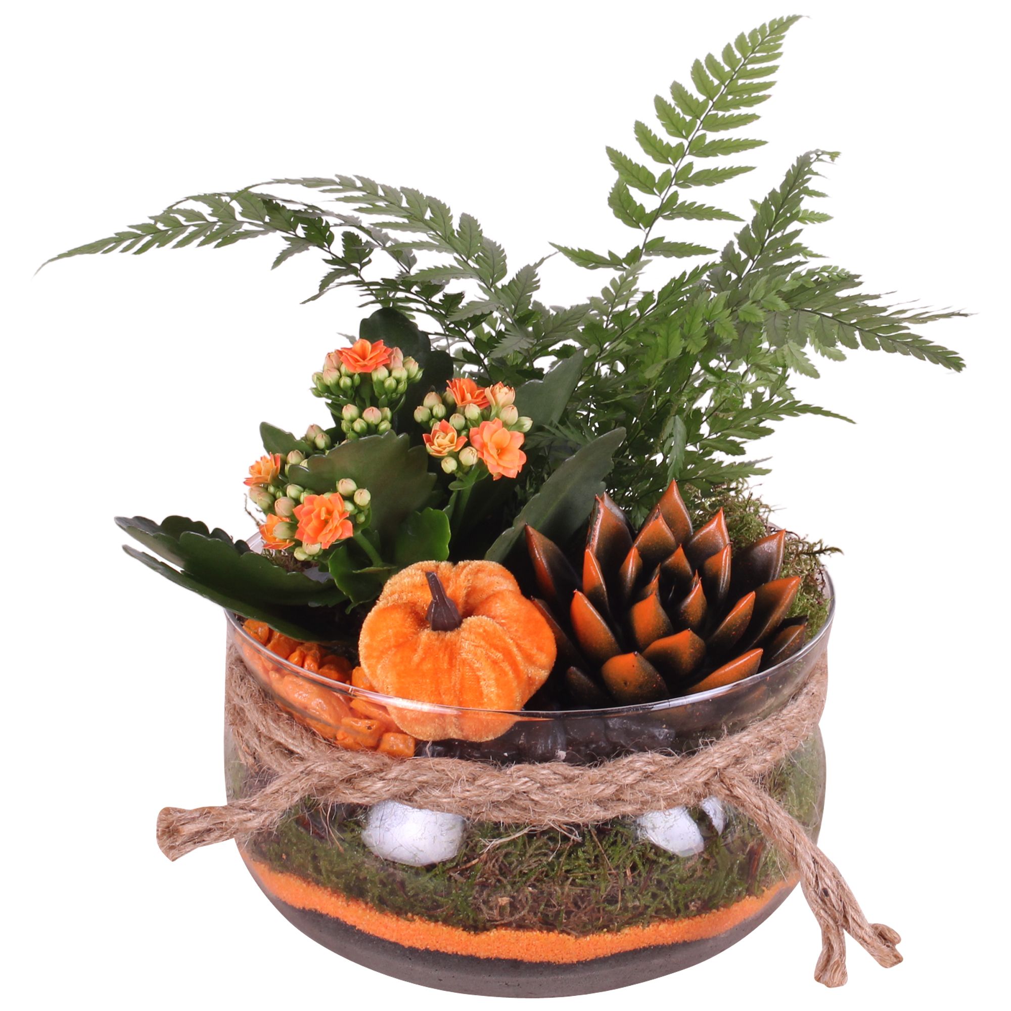 Halloween Arr. Indoor Glass Bowl Rope Ø20cm with 3PP, D 20 cm Halloween Arr. Indoor Glass Bowl Rope Ø20cm with 3PP, D 20 cm