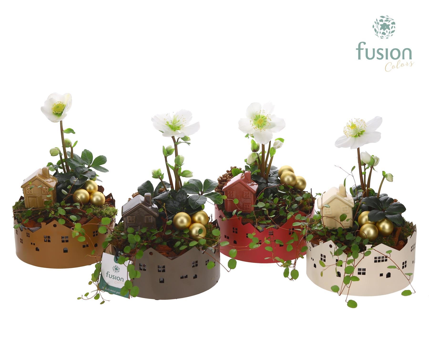 Zinken schaal Small met Kerst arrangement, D 15 cm