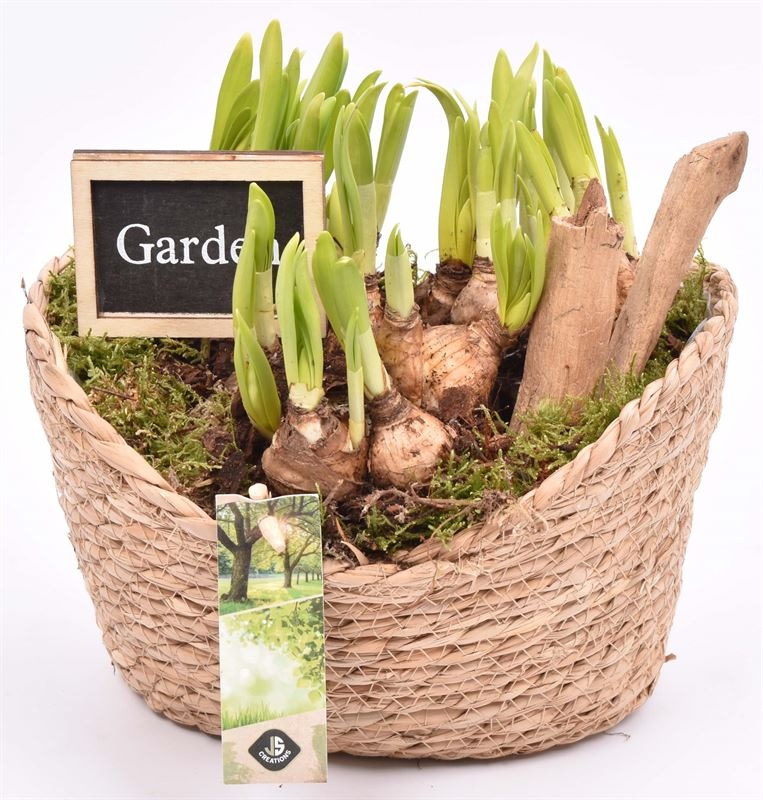 Touwmand ovaal 23x18.5cm, D 21