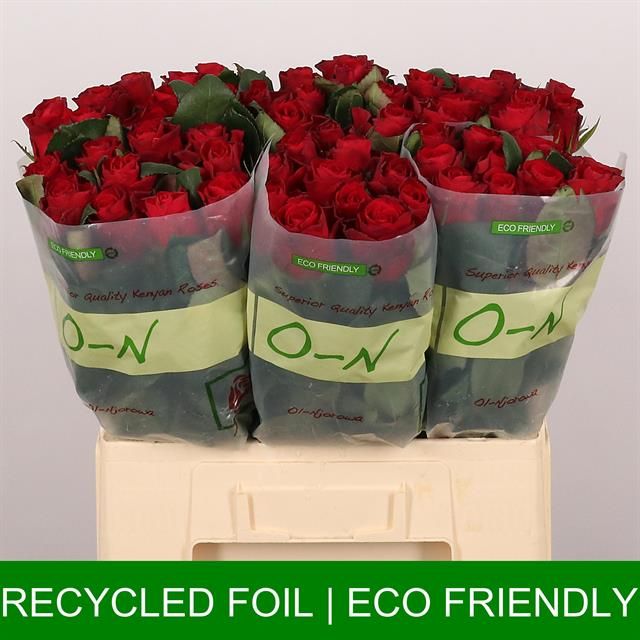Роза од. Рэд Такази+ 60, шт.