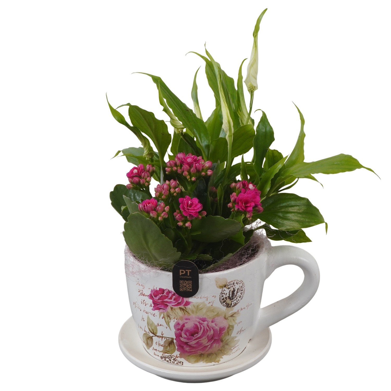 PTIB5200 Arrangement Indoor in keramiek kop en schotel, D 11