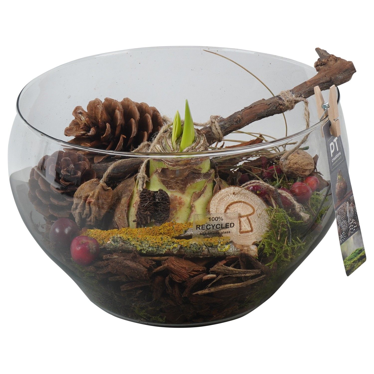 PTAA7595 Arrangement Amaryllis in glas schaal, D 23 cm