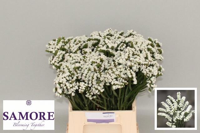 Статица Сильвери Сан Бердс 45, шт.