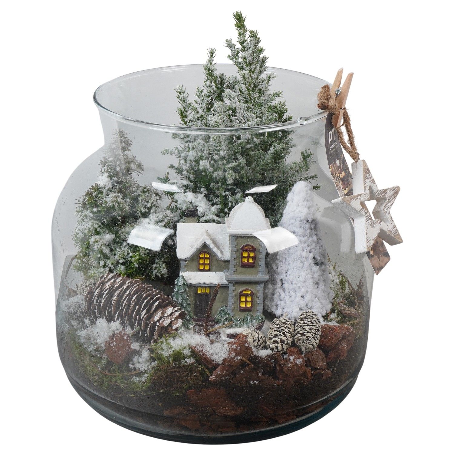 PTCWW6842 Arrangement Winter in glazen vaas, D 23 cm