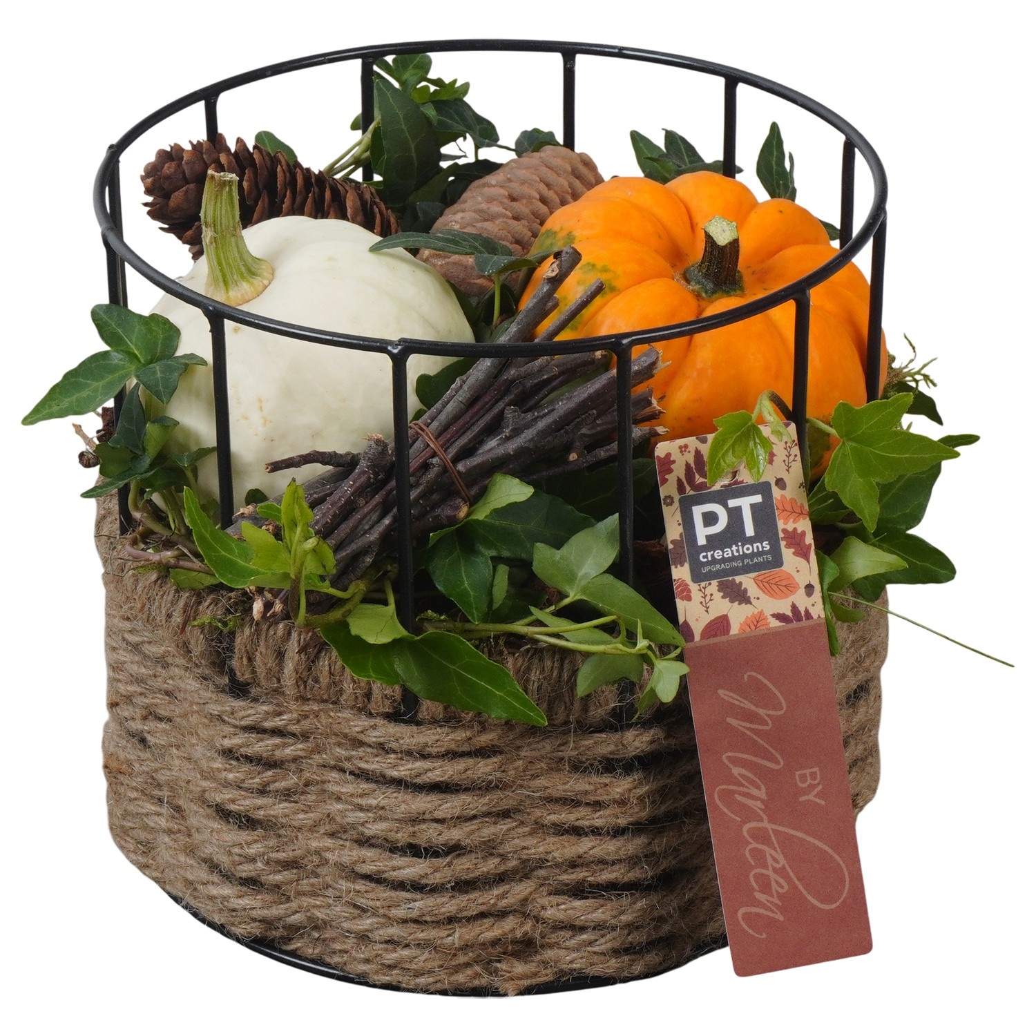 PTSF8242 Arrangement Kalebas hedera in touw mand, D 17 cm