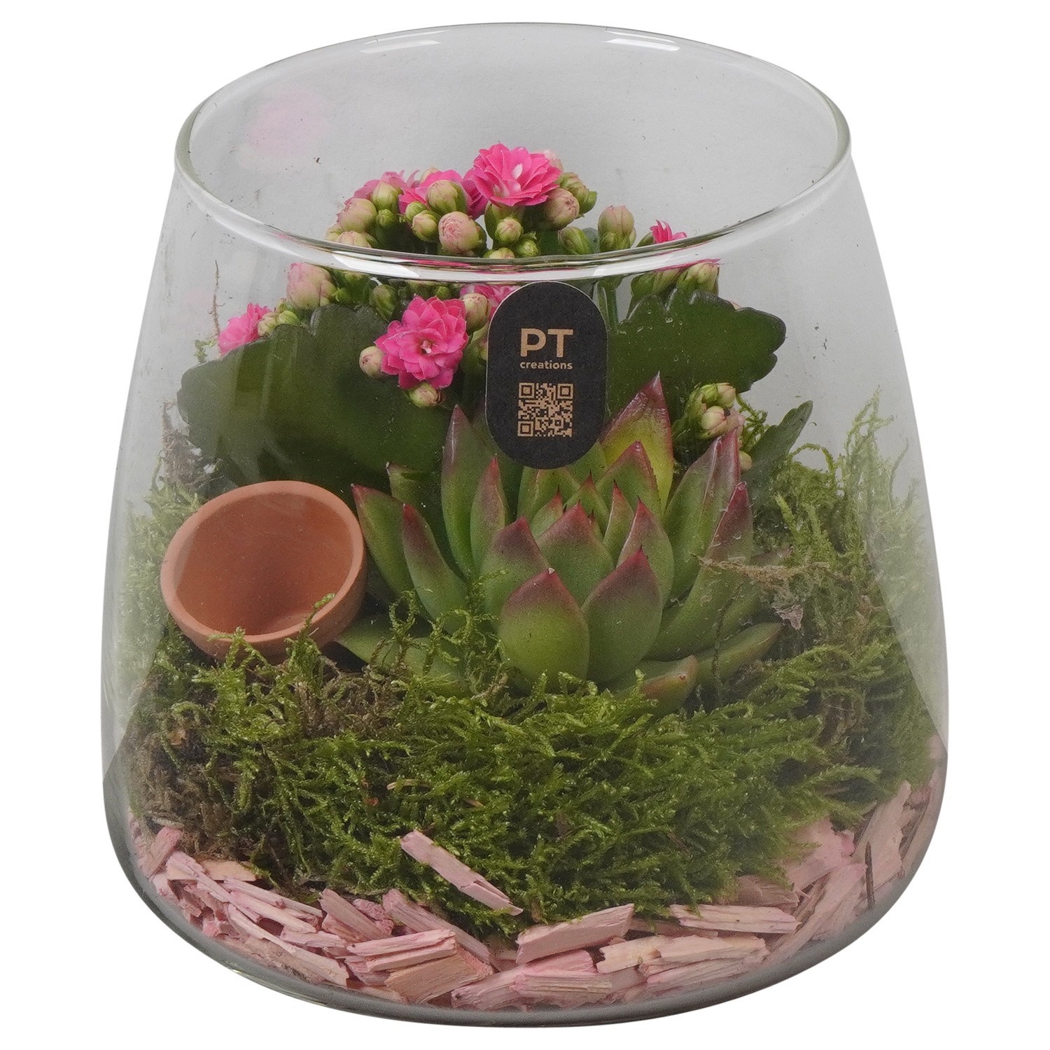 PTIG2694 Arrangement Indoor in glas schaal, D 14