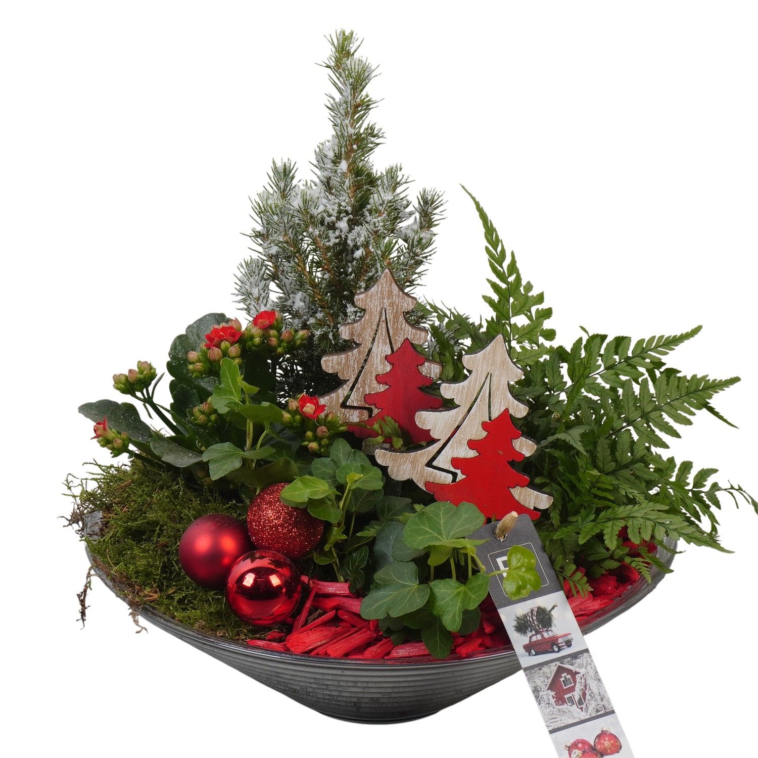 PTCHR7431 Arrangement Christmas Red in glas schaal, D 26 cm