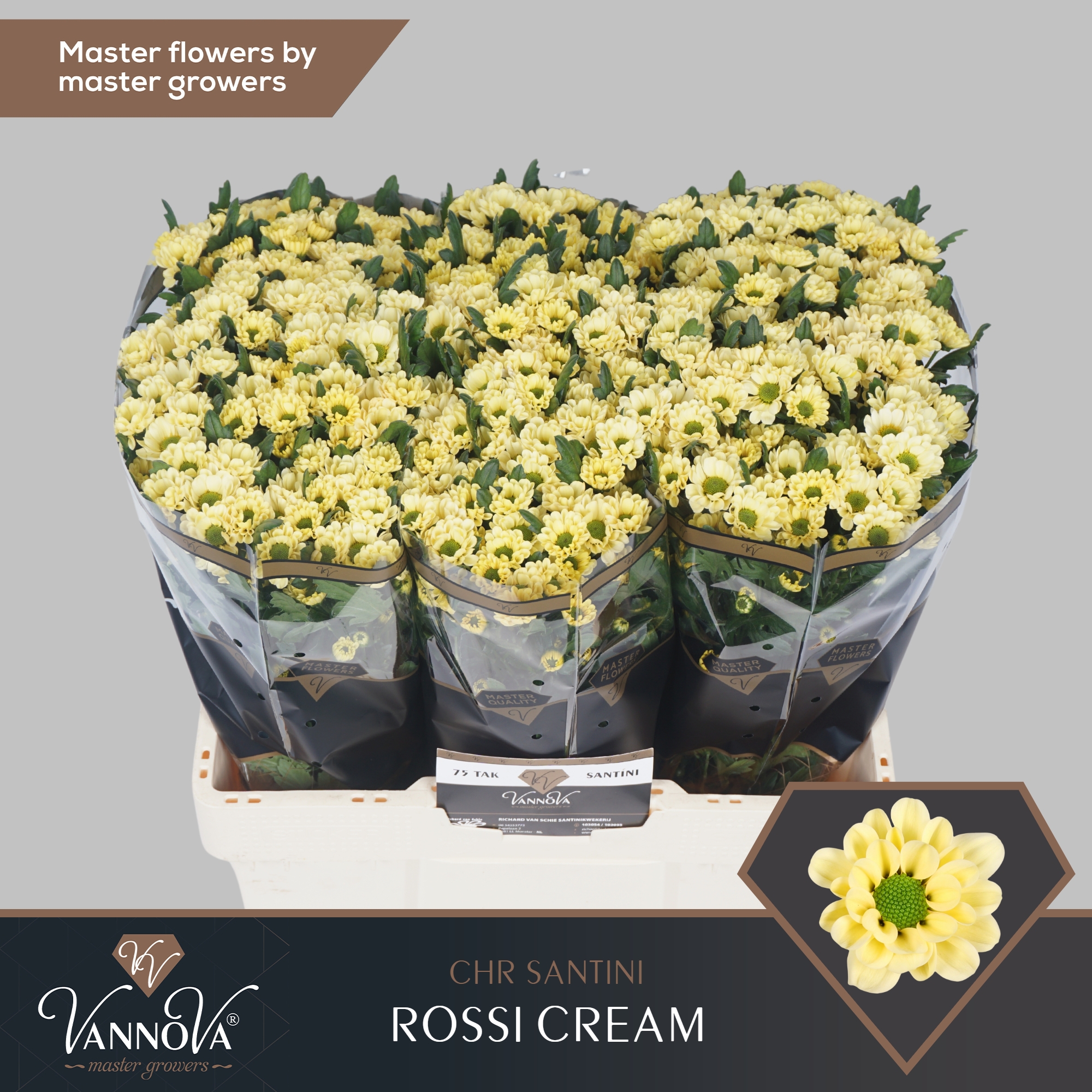 Сантини Росси Крем (крем.), шт.