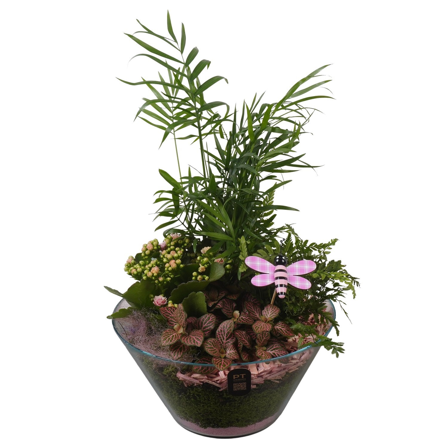 PTIG2678 Arrangement Indoor in glas schaal, D 26