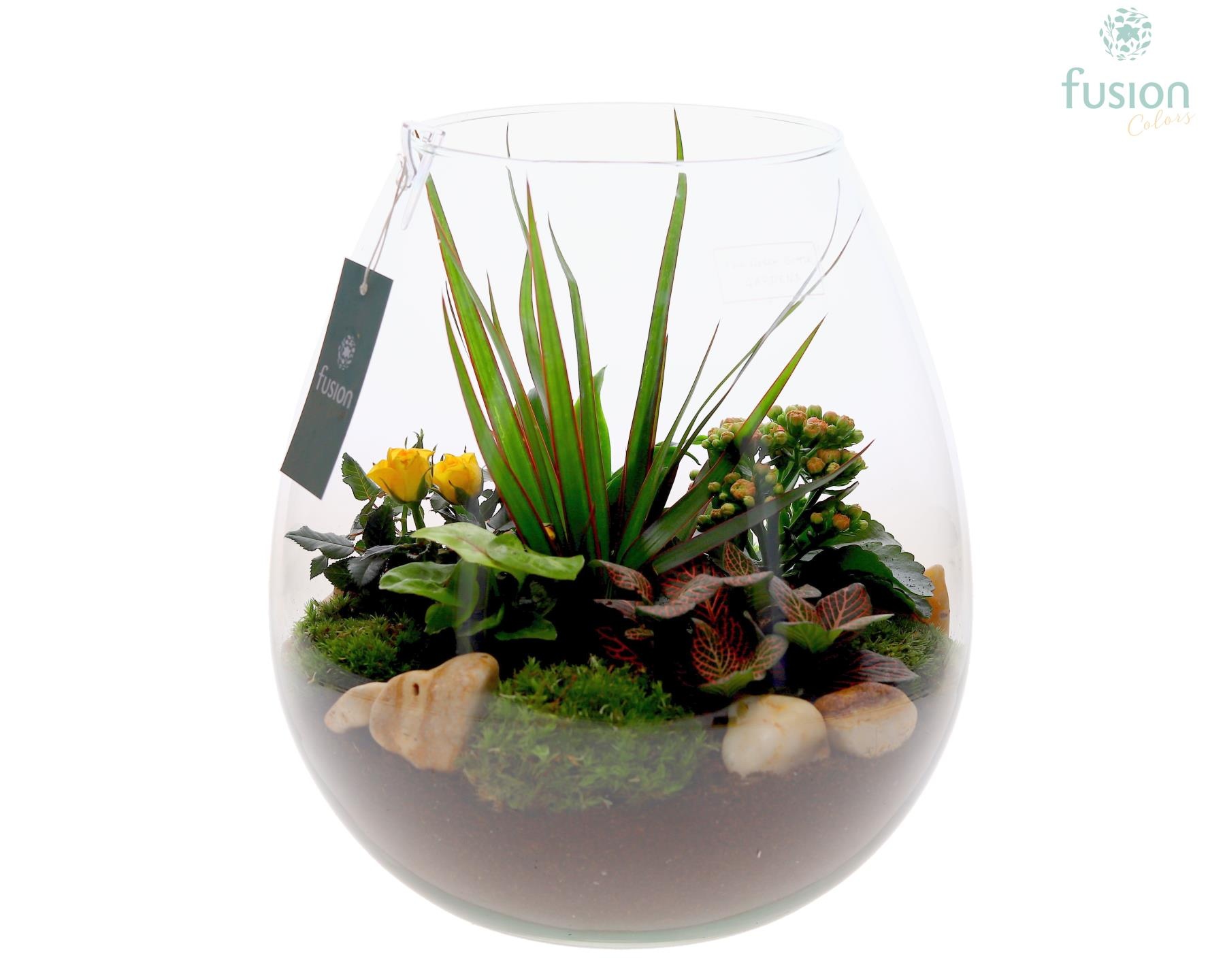 Green Bottle Abby XLarge met arrangement, D 29