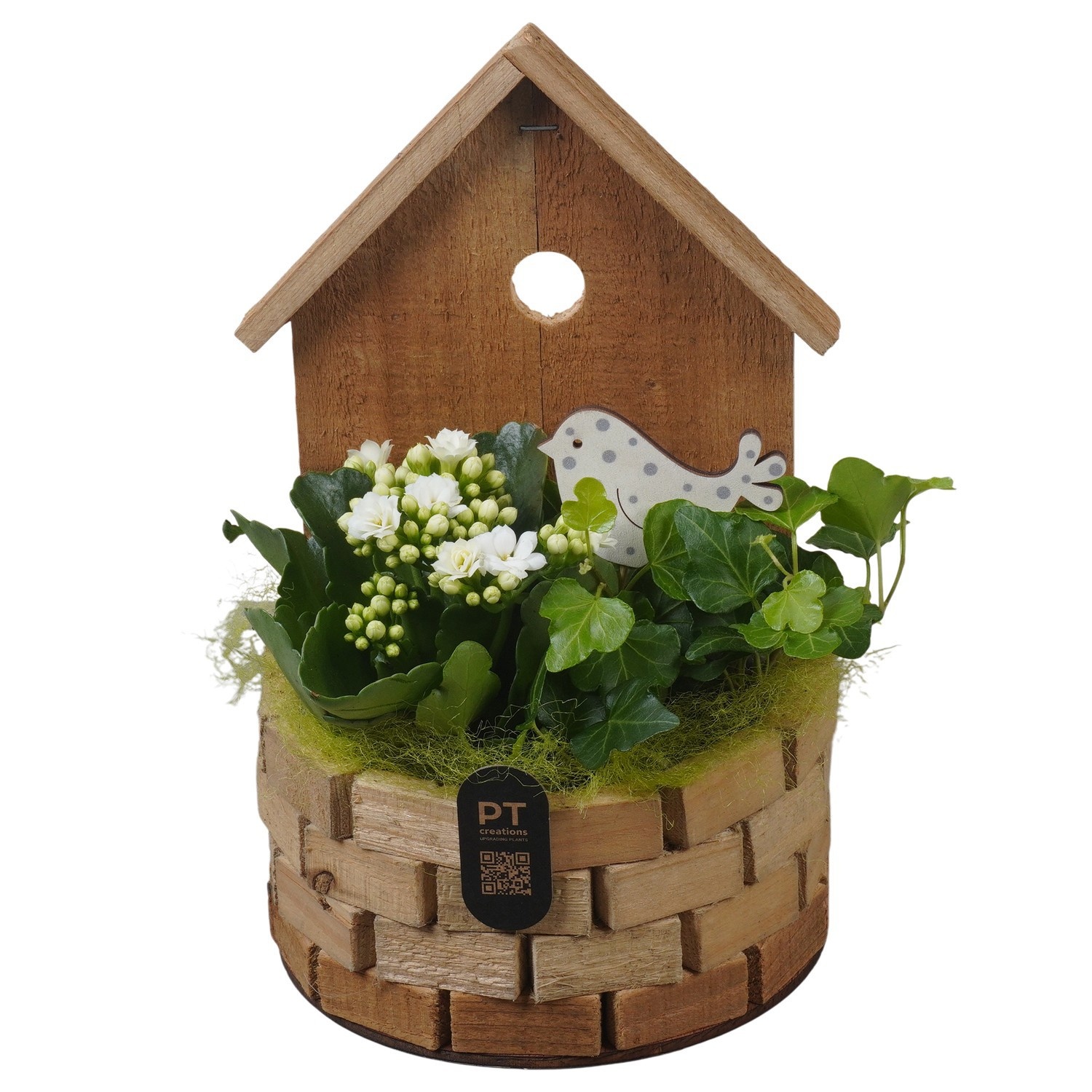 PTIB5262 Arrangement Indoor in houten vogelhuis, D 16