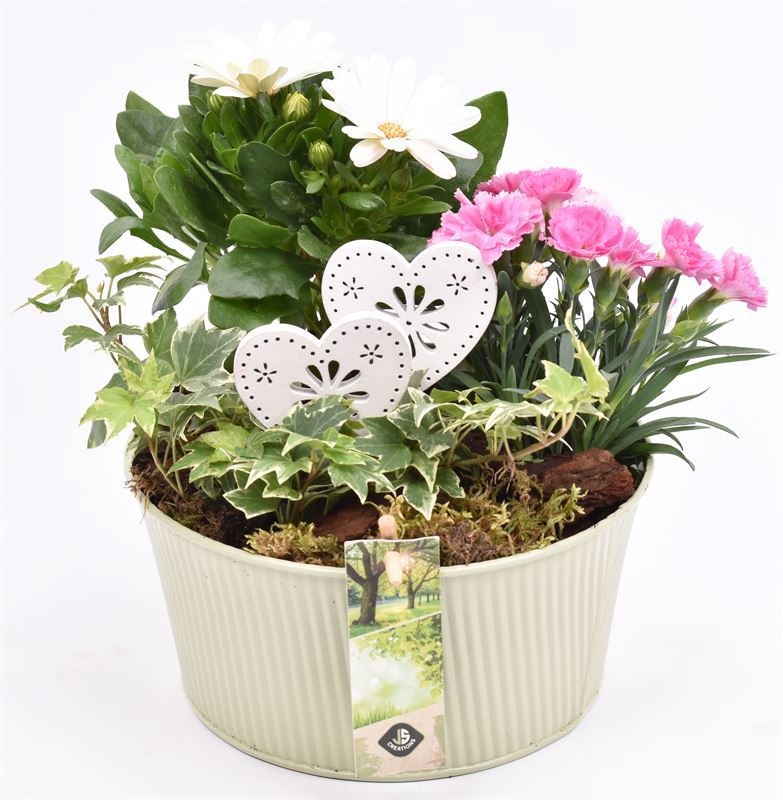 Zink schaal ribbel khaki 18cm, D 18