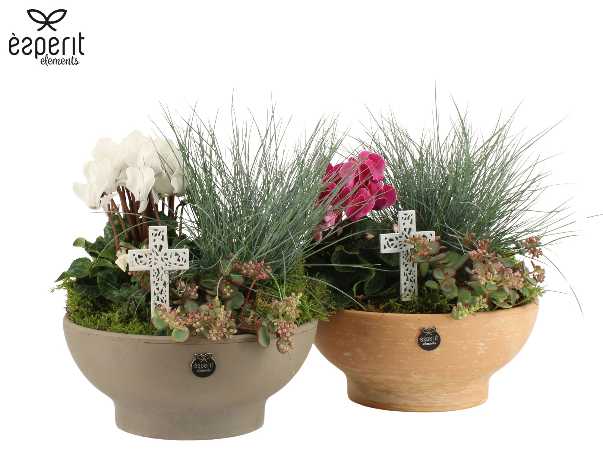 41744: All Saints arrangement, D 23