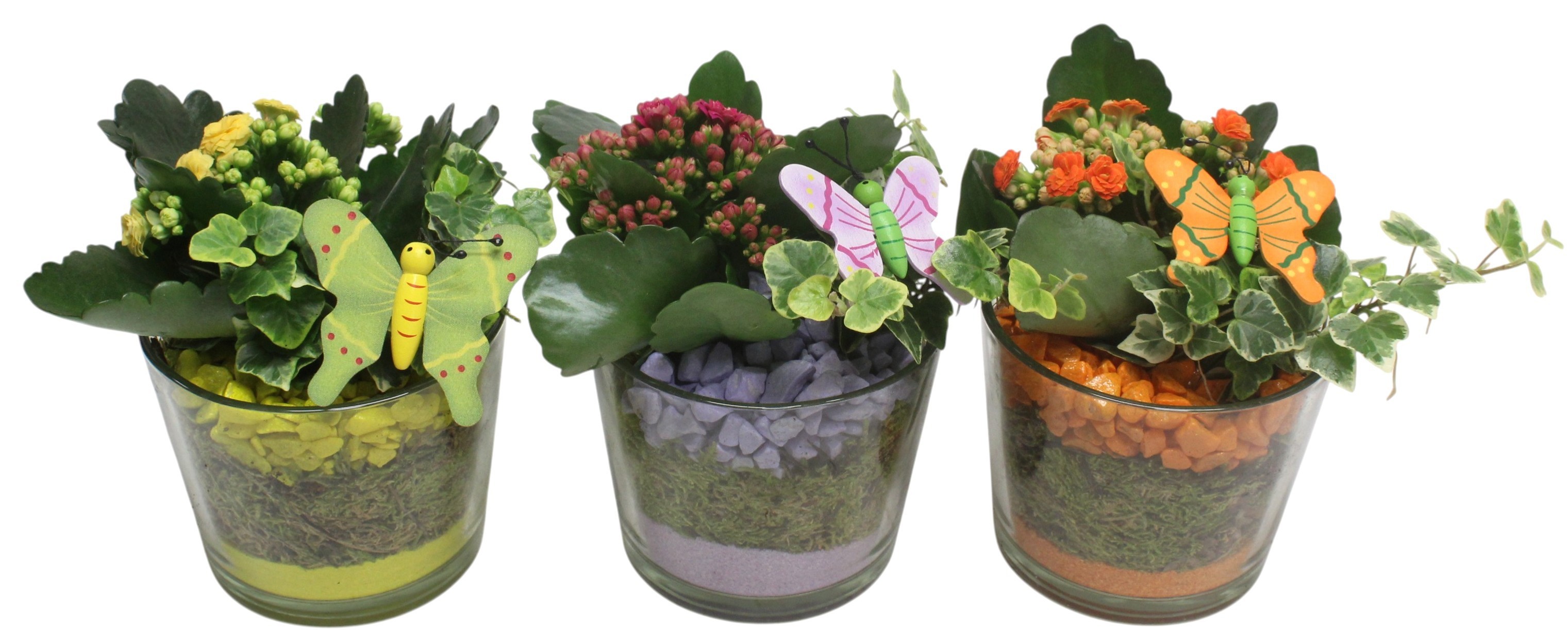 6A10.2 Glas Cilinder .10751, D 12