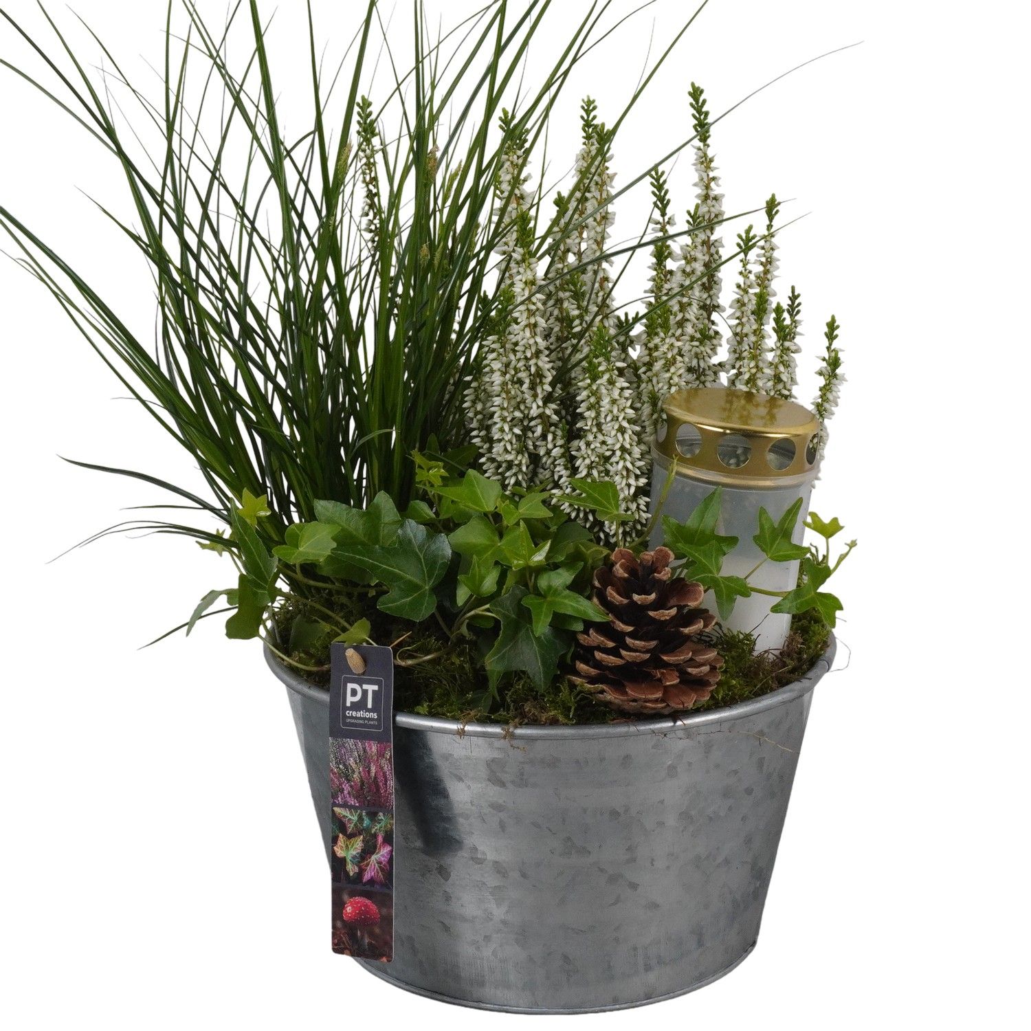 PTAH8686 Arrangement Allerheiligen in metalen pot, D 22 cm PTAH8686 Arrangement Allerheiligen in metalen pot, D 22 cm