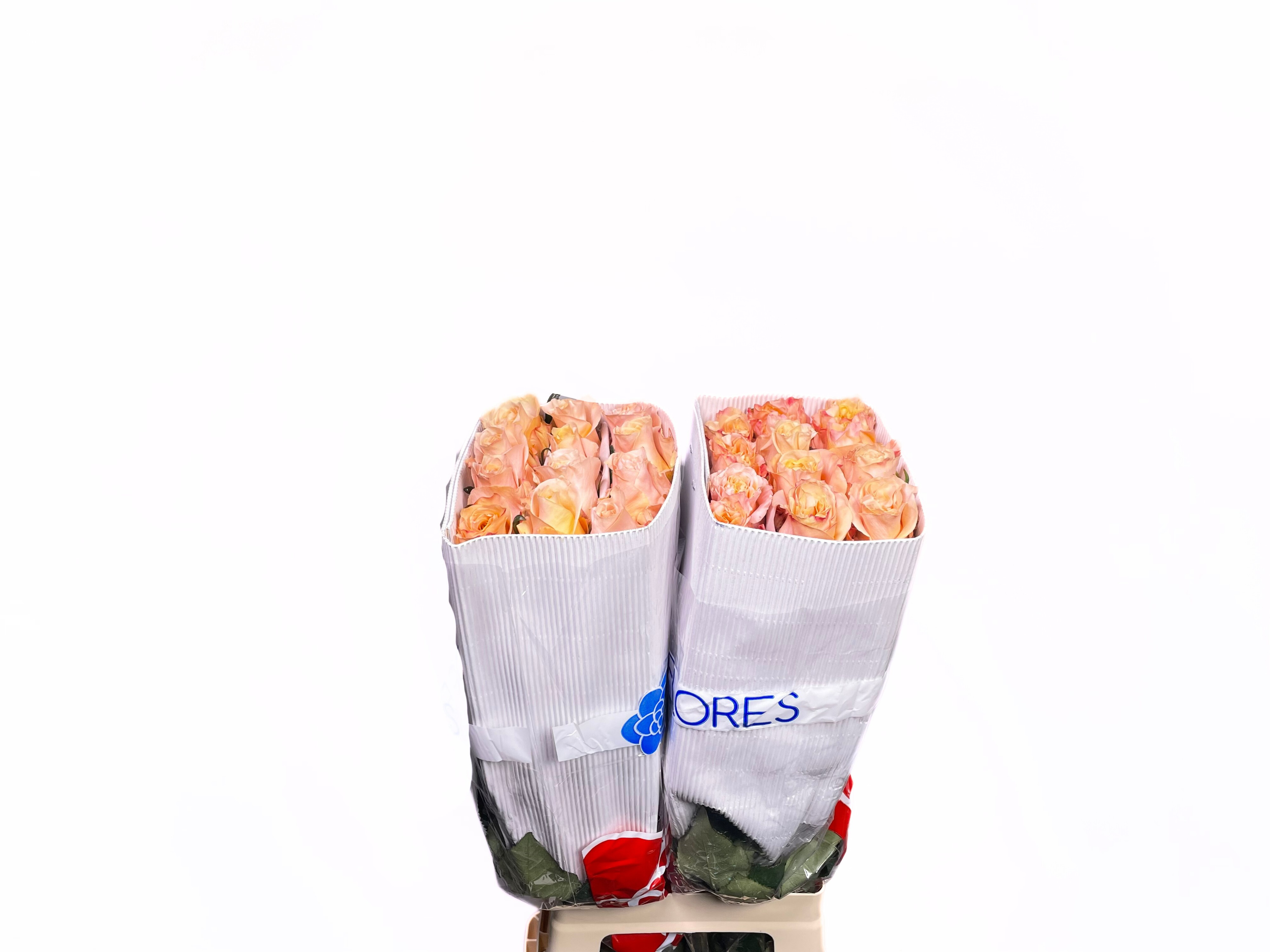 Роза од. Шиммер 80 (светло-роз.), шт.