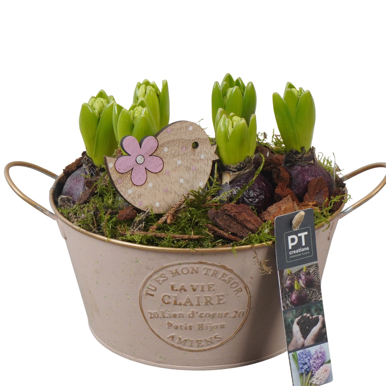 PTHC9127 Arrangement Hyacints in zink pot, D 20