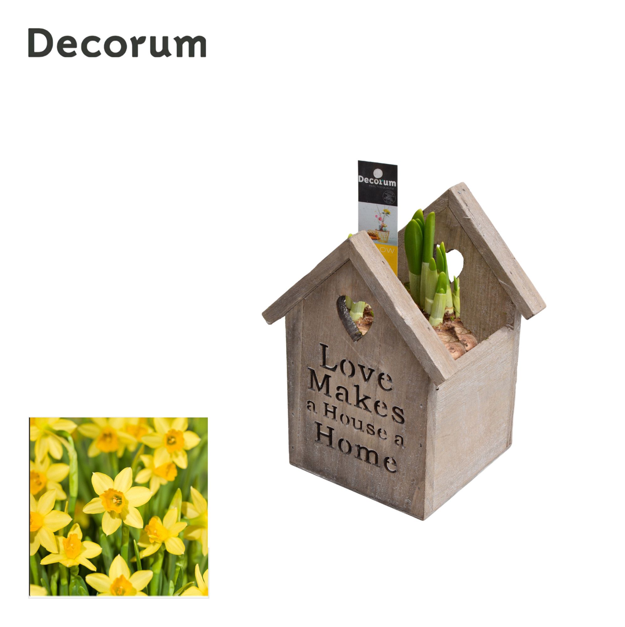 Narcis Lovely Home HL11653N, D 11