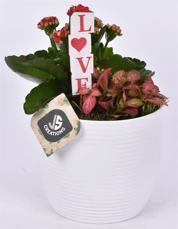 Keramiek ribbelpot en hart wit 13cm, D 13