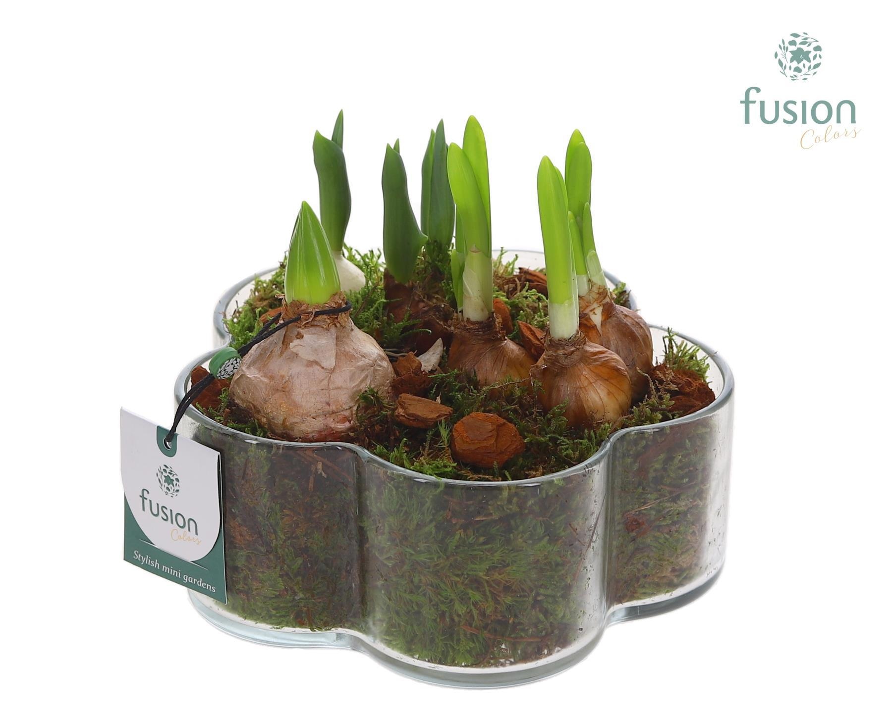 Glazen Bloemschaalmet Mixbol arrangement, D 18