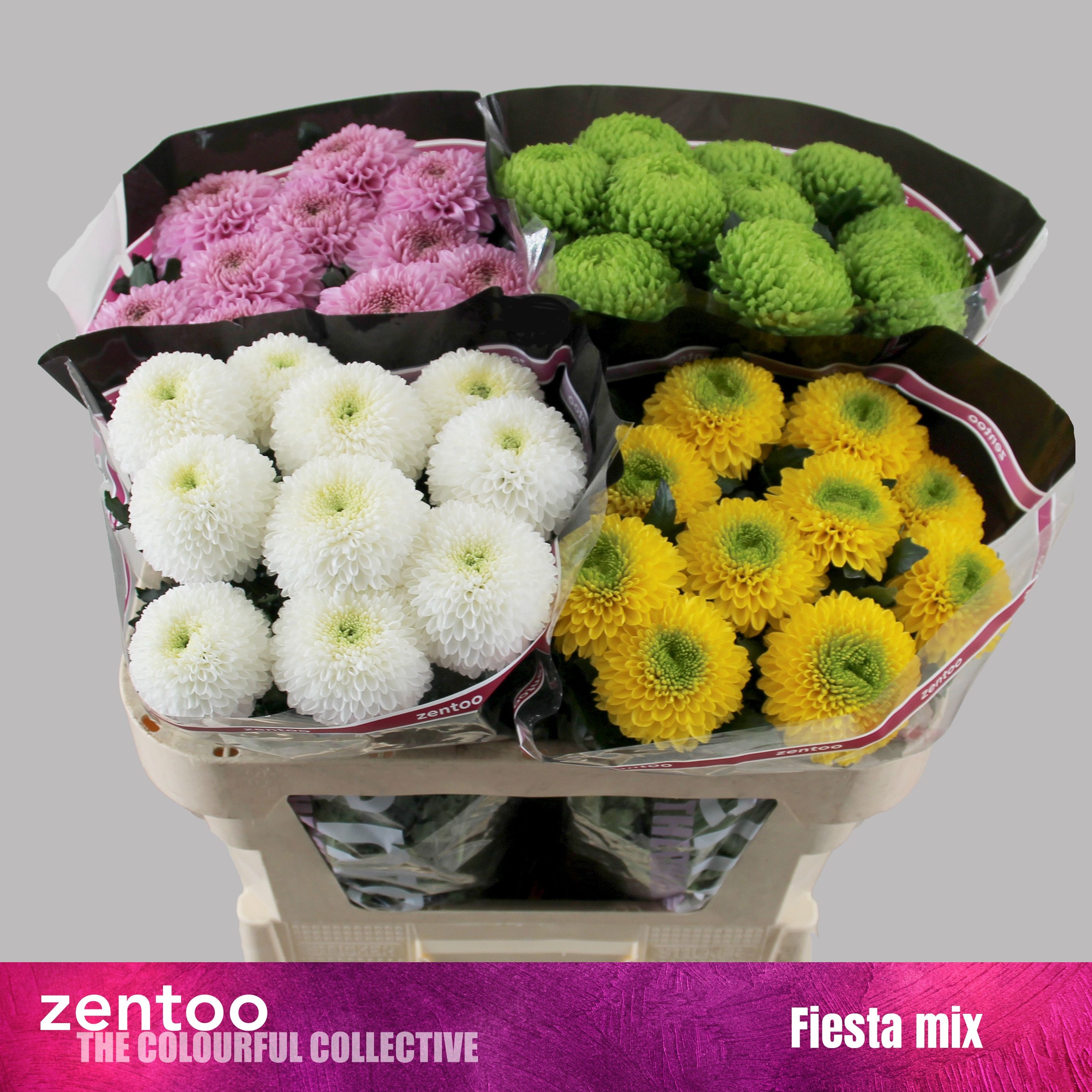 Хризантема од. Микс 70, шт. Хризантема од. Микс 70, шт.