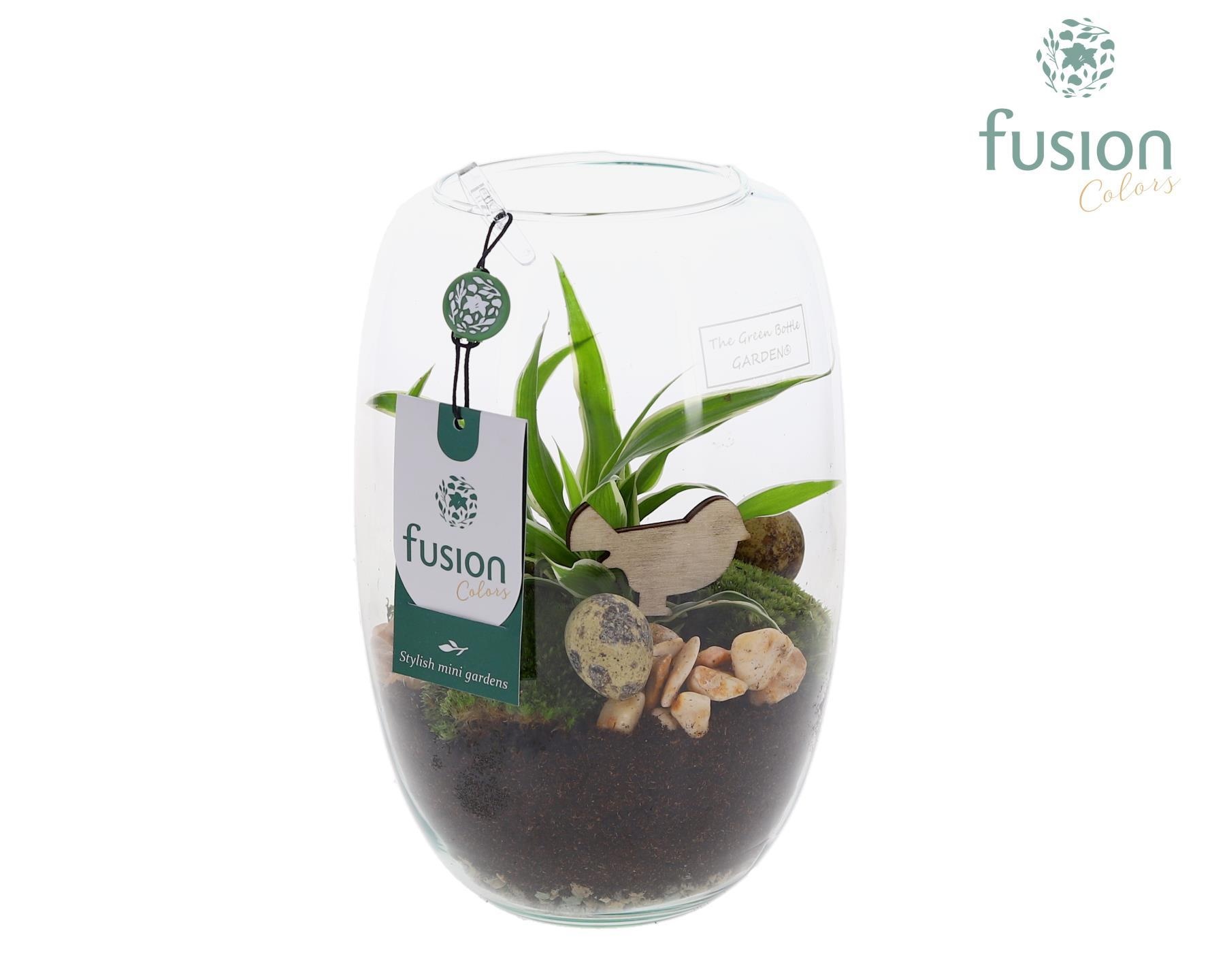 Green Bottle Isabella Small Pasen met Arrangement, D 15