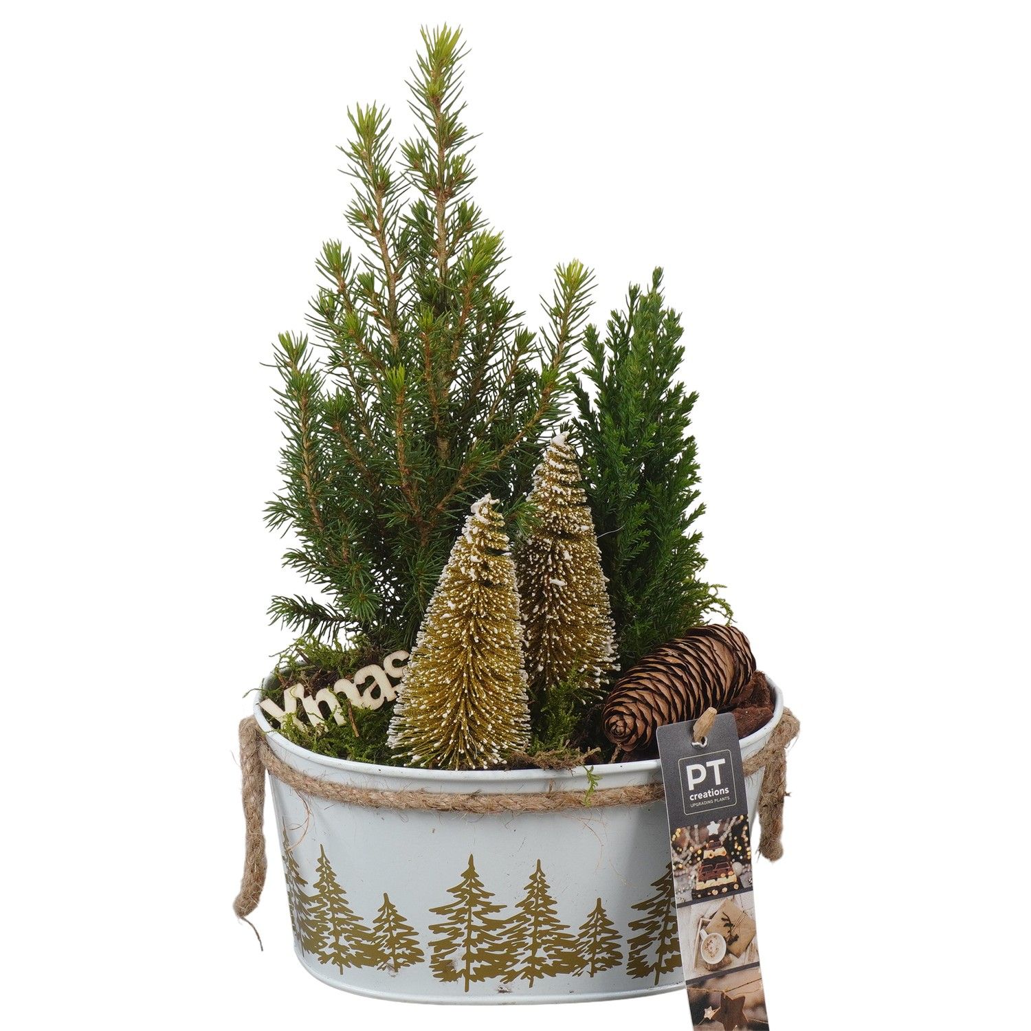 PTCWW6900 Arrangement Winter in metalen pot, D 18 cm