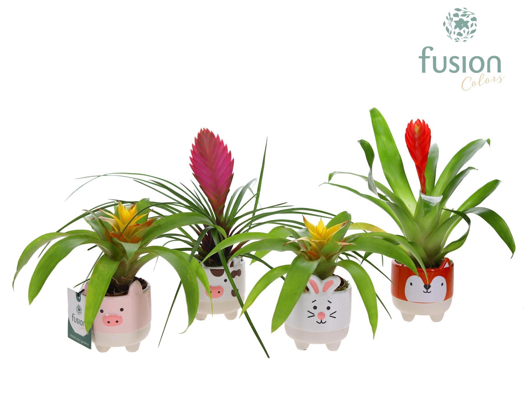 Keramiek Boerderijdieren met Bromelia, D 8