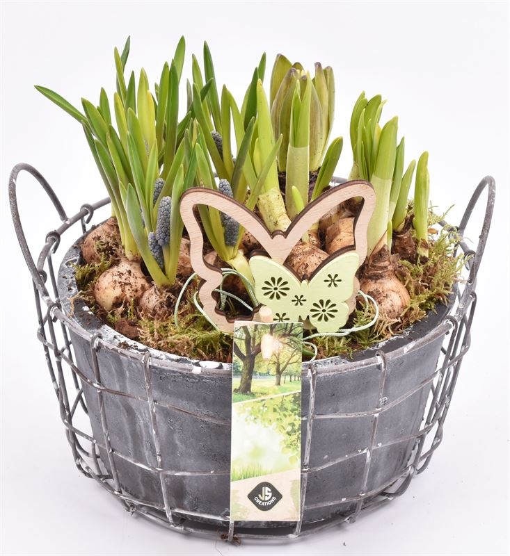 Gaasmand met cement schaal gy 21cm, D 22