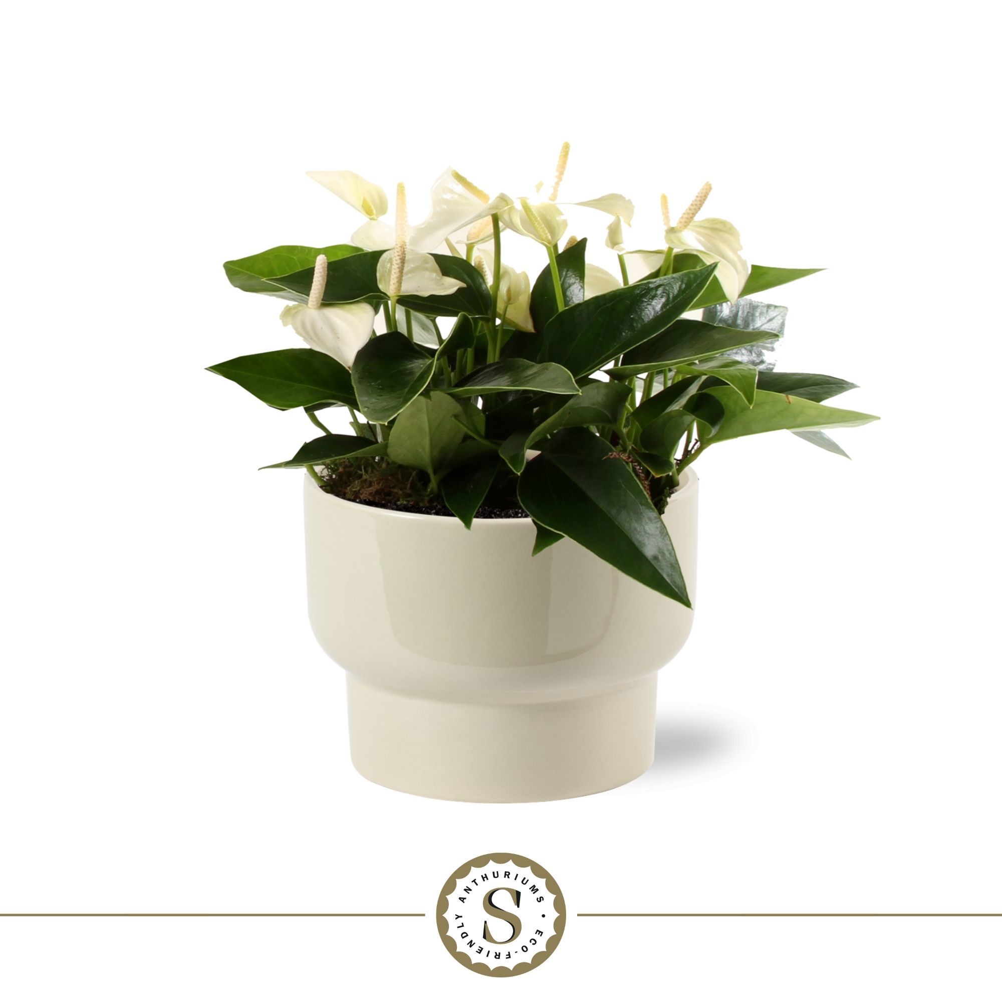 Athene Keramiek Taupe - White, D 17