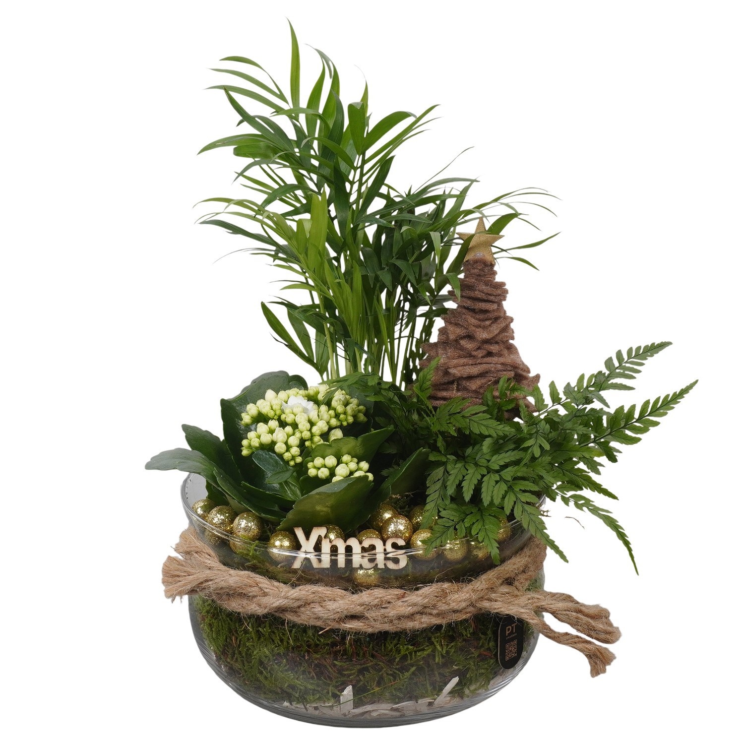 PTCHG4611 Arrangement Christmas Gold in glas schaal, D 19