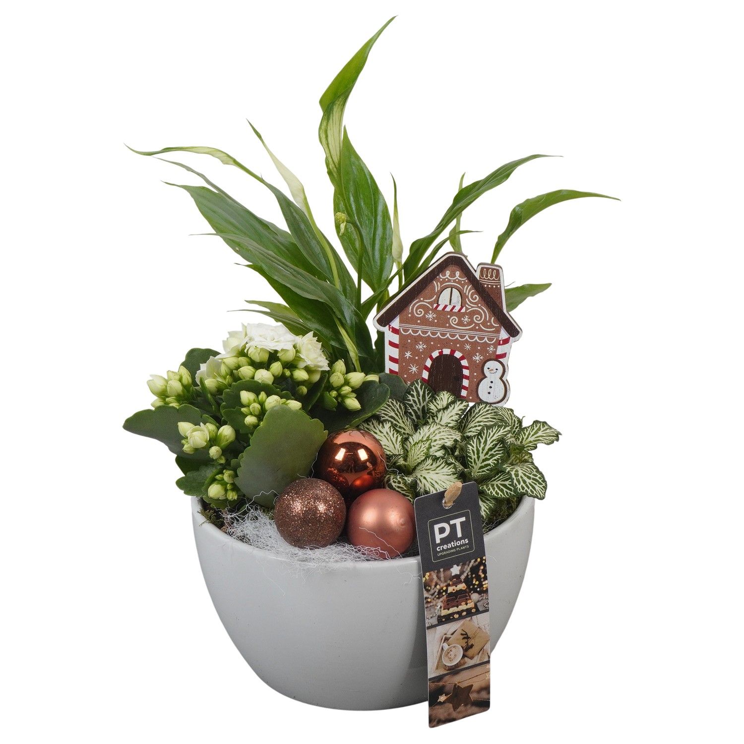 PTCHB9750 Arrangement Christmas Bronze in keramiek schaal, D 15 cm