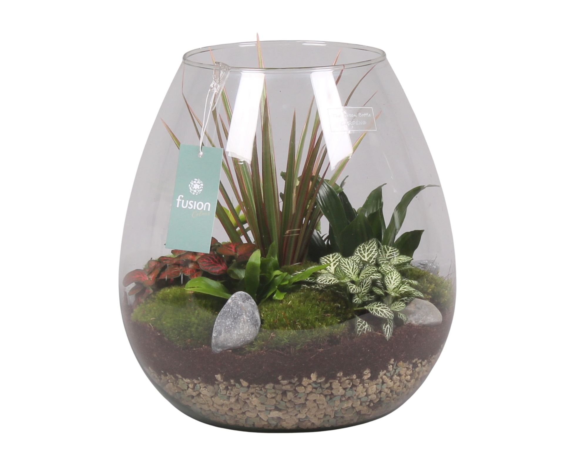 Green Bottle Abby XLarge met Groen Planten, D 28