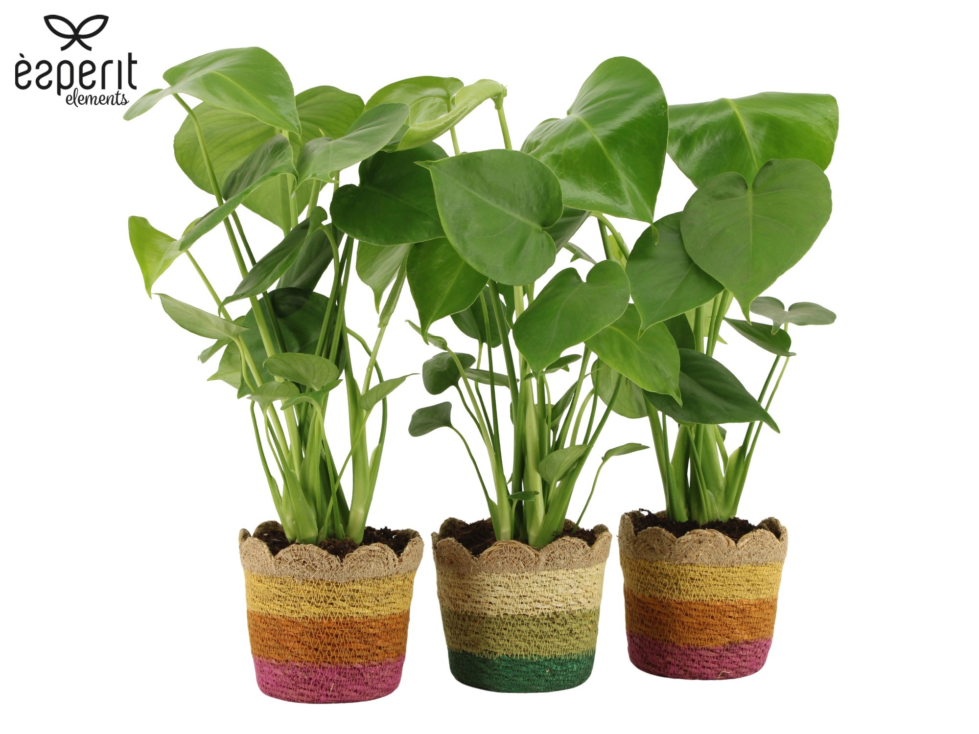 7503614: Solutionss Reinvention, D 12