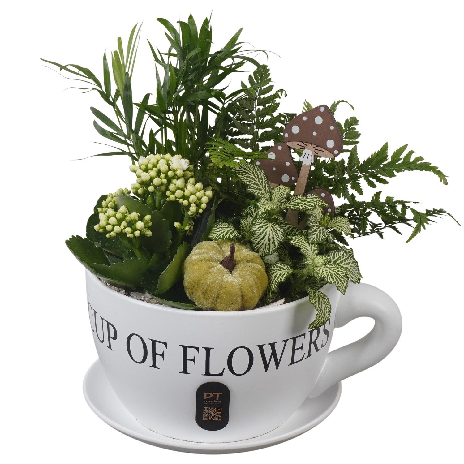 PTHI3255 Arrangement Autumn Indoor in keramiek kop en schotel, D 24