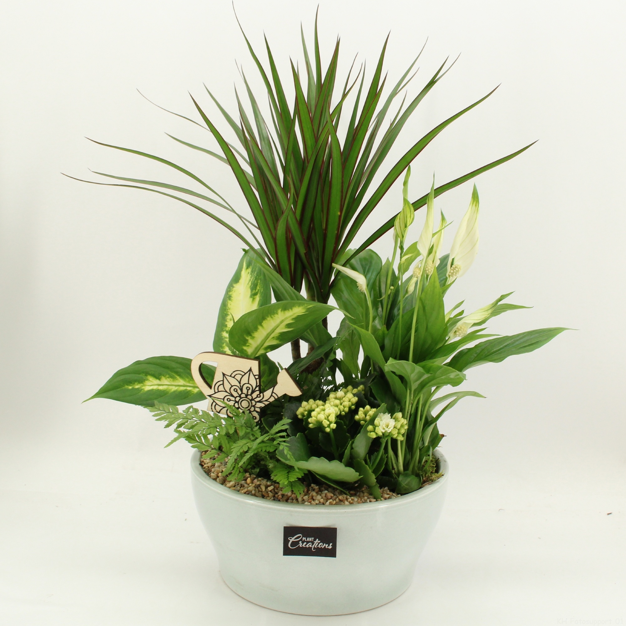 FDCR-2612W Basic Fundamentals, D 22