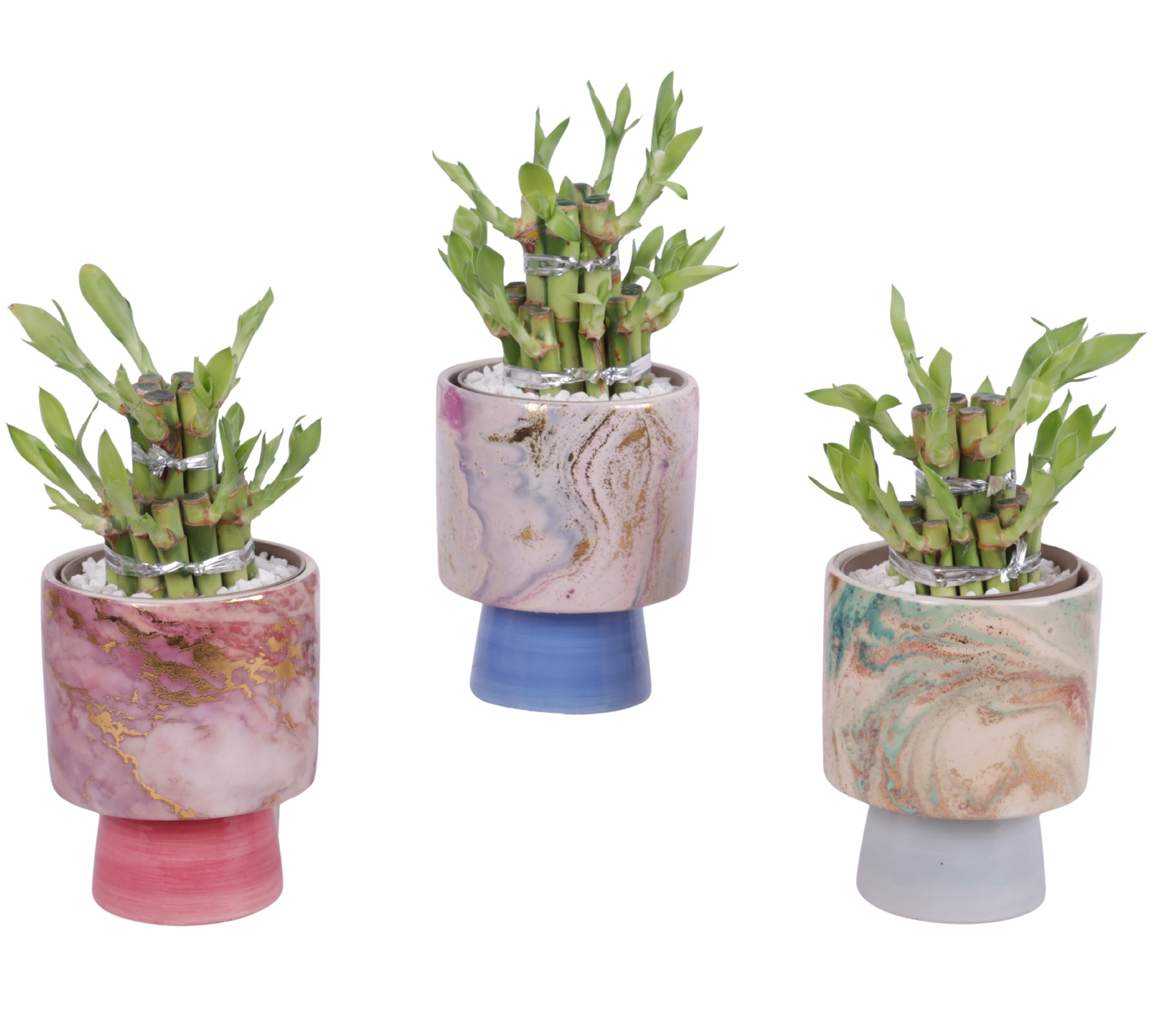 Lucky Bamboo Shape Round 2S Ø10cm Ceramic FB676, D 10