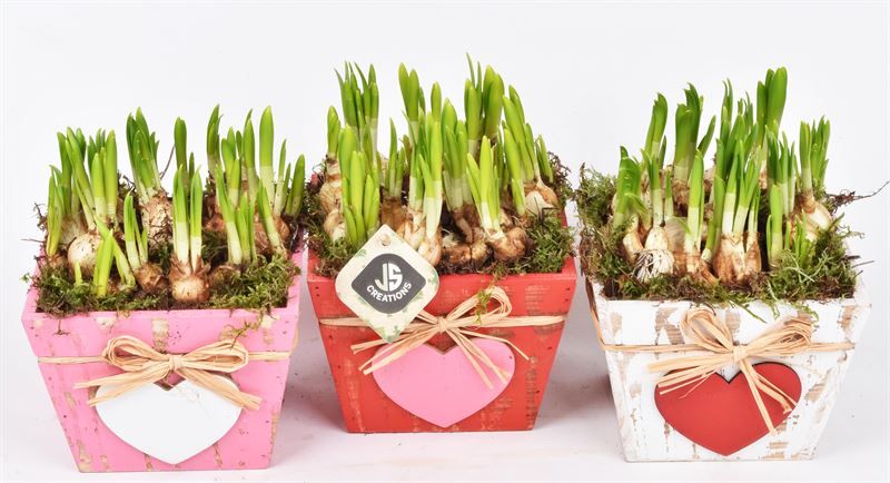 Hout vierkant hart decor mix 15x15, D 15