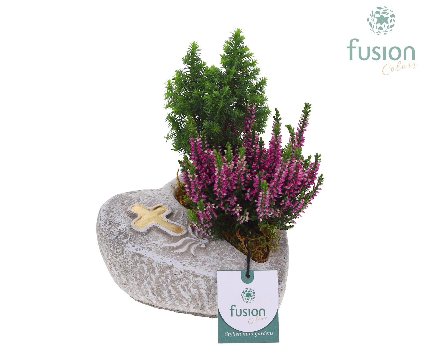 Allerheiligen Hart met Arrangement, D 17 cm